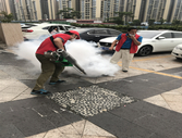 成功案例