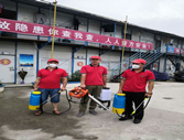 成功案例